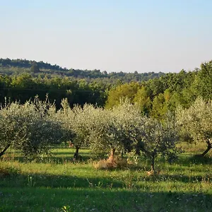  Villa Olivetta - Istrische Mit Meerblick Nahe Porec Kroatien